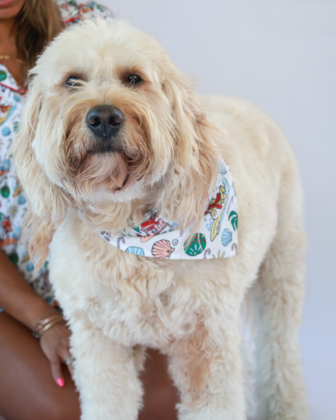 Jolly Waves Coastal Christmas Bamboo Dog Bandana