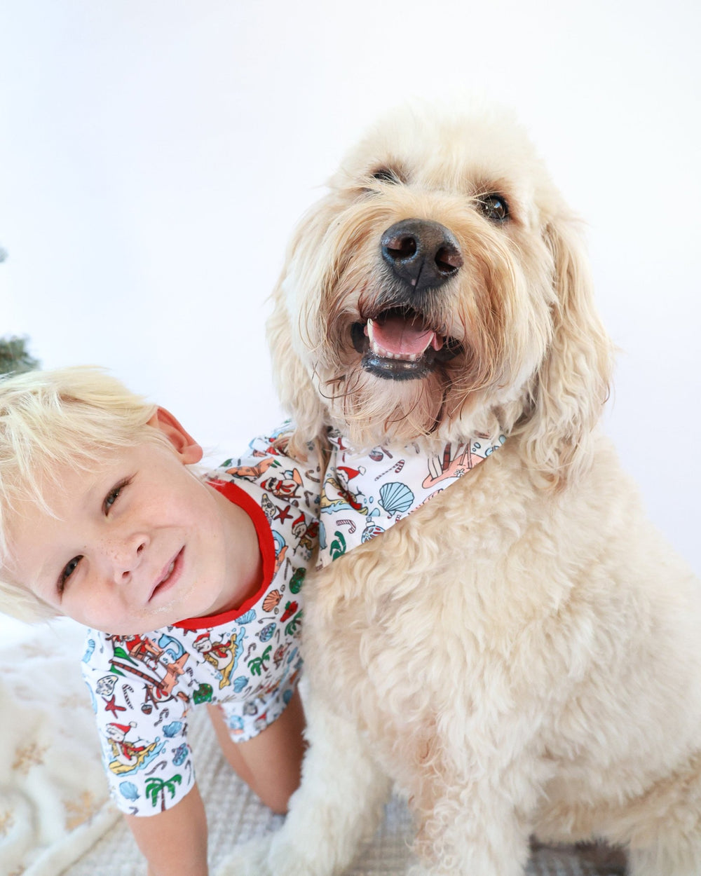 Jolly Waves Dog Bandana - Tuck & Char Co.