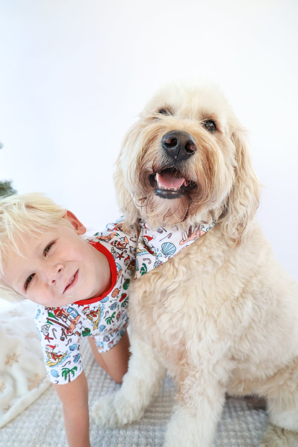 Jolly Waves Dog Bandana - Tuck & Char Co.