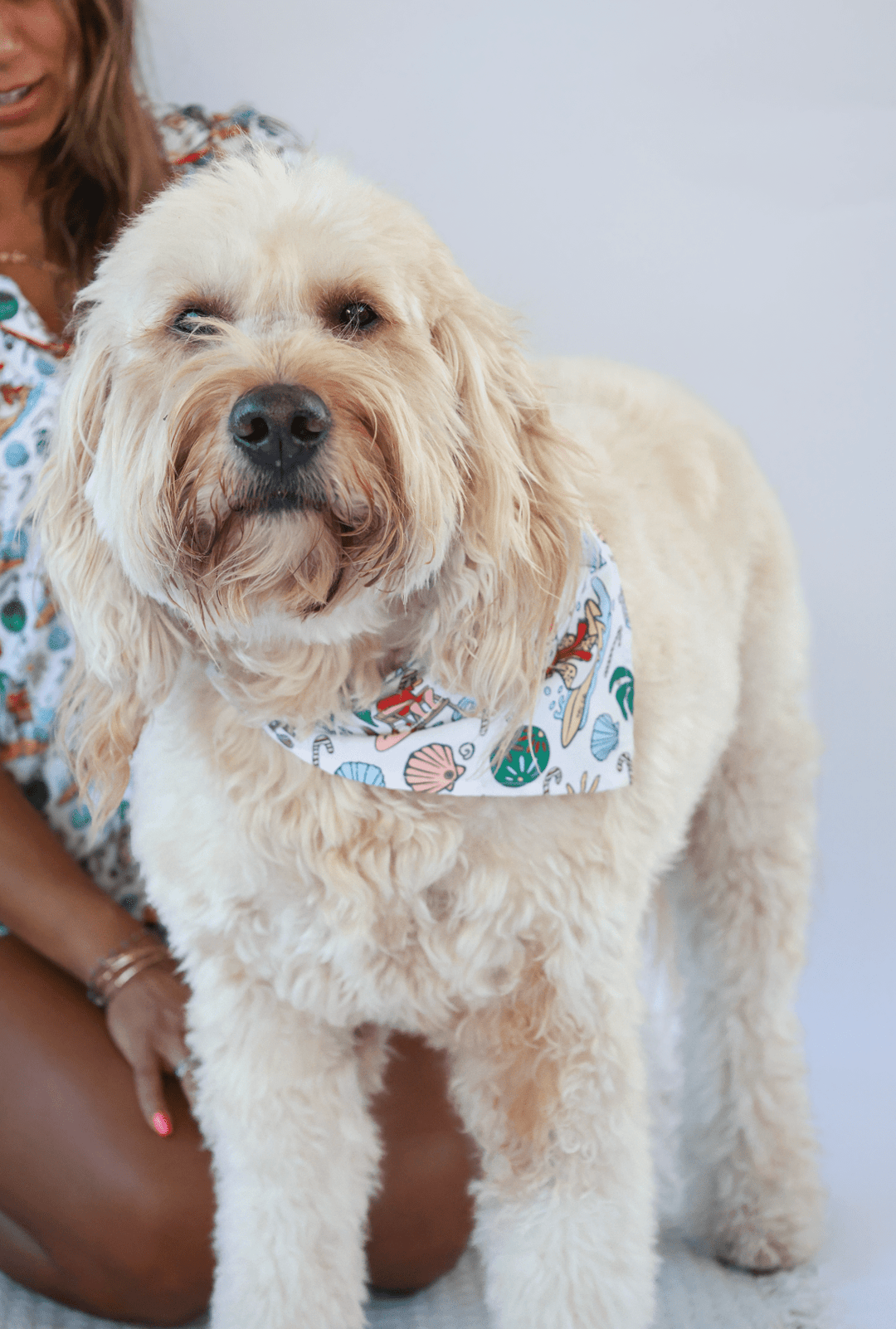 Jolly Waves Dog Bandana - Tuck &amp; Char Co.