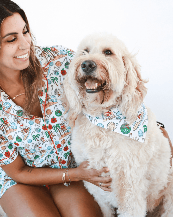 Jolly Waves Dog Bandana - Tuck &amp; Char Co.