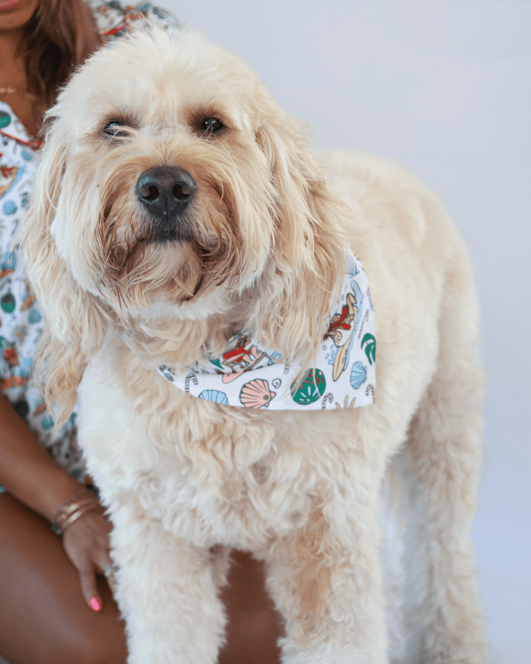 Jolly Waves Dog Bandana - Tuck &amp; Char Co.