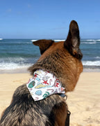 Jolly Waves Dog Bandana