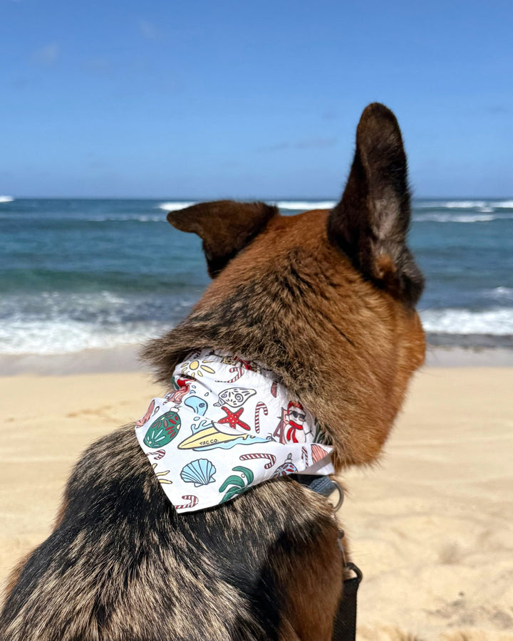 Jolly Waves Dog Bandana - Tuck &amp; Char Co.