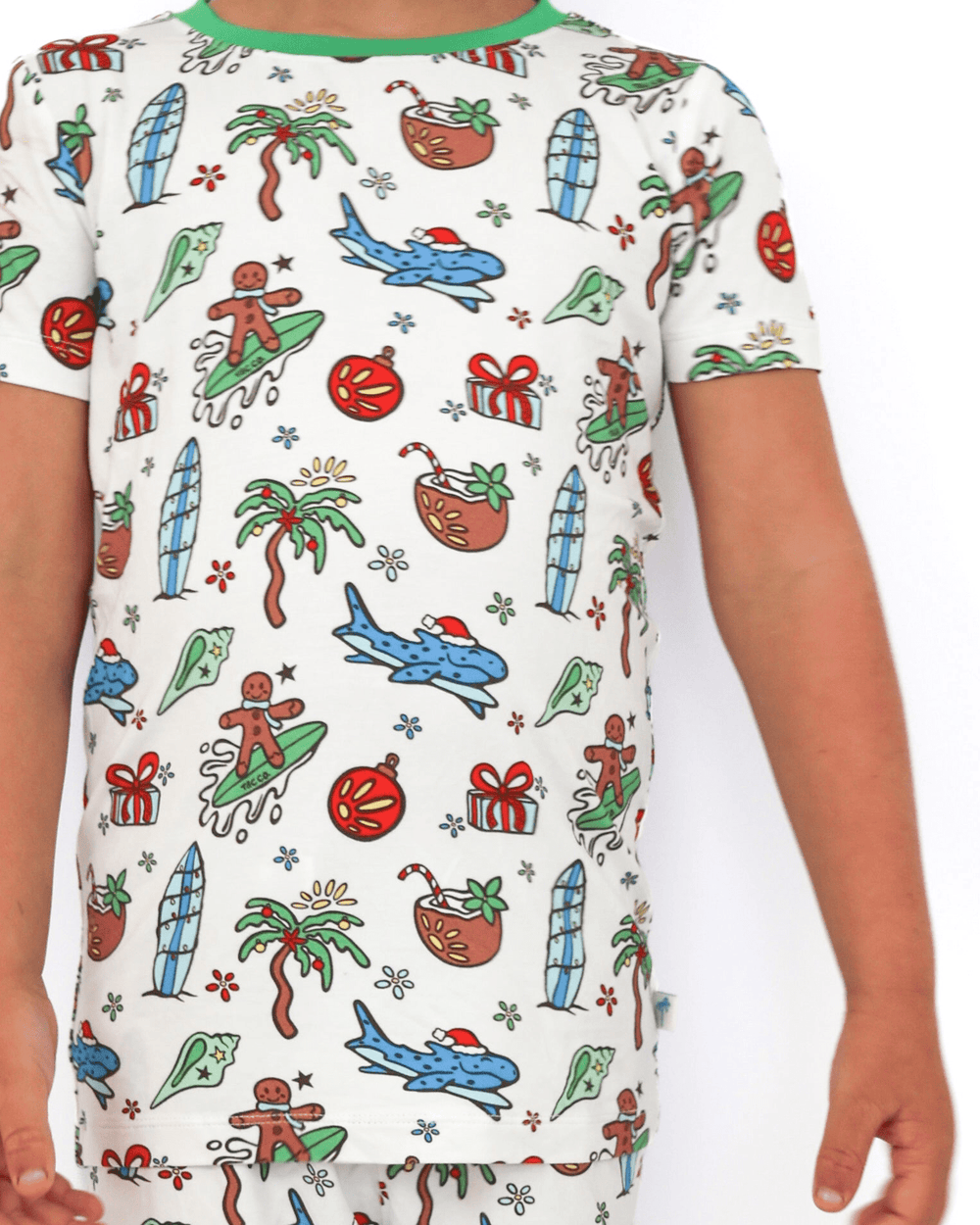 Merry Reef Boys Short Pajama Set - Tuck & Char Co.